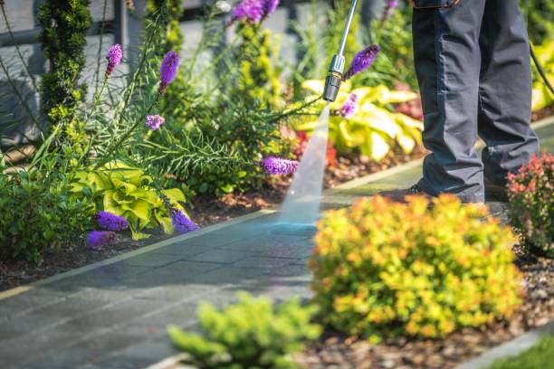 Best Dumpster Area Cleaning  in King Of Prussia, PA