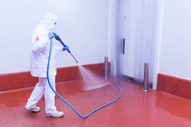 Best Rust Removal  in King Of Prussia, PA